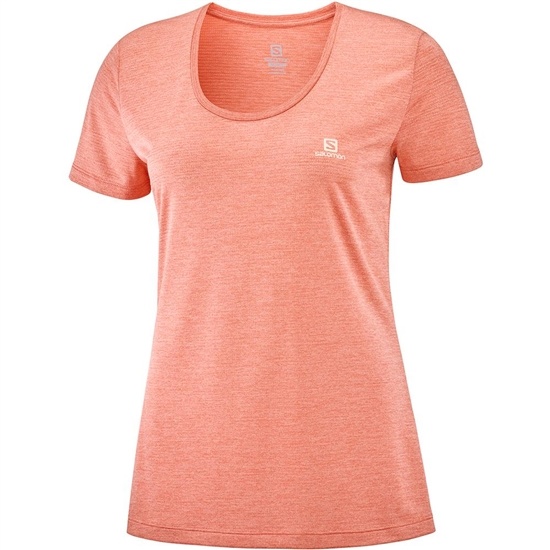 Salomon Agile Ss W Women's T Shirts Coral | SCTA49357