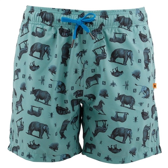 Salomon Boat B Kids' Shorts Mint | PXMW82459