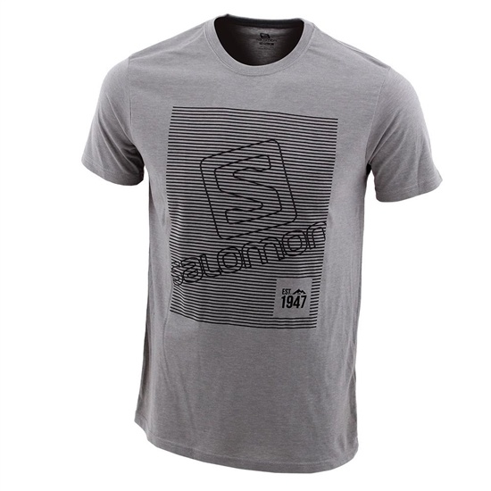 Salomon Fineline Ss M Men's T Shirts Grey | GQNM47852