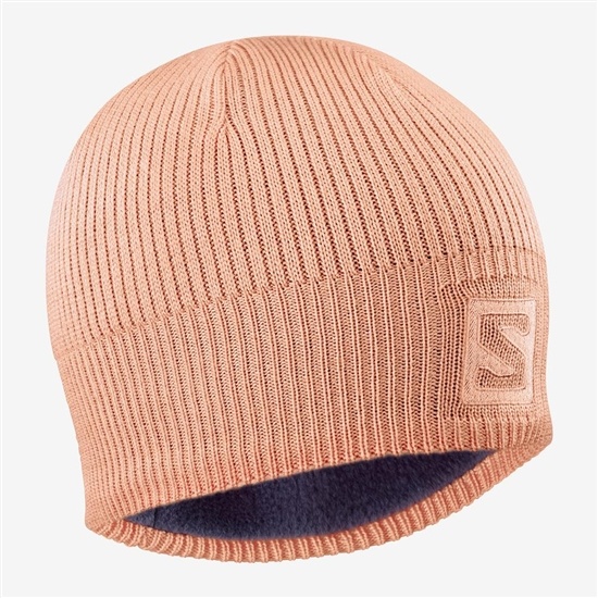 Salomon Logo Men's Hats Pink | TVML01643