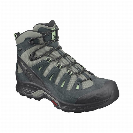 Salomon Quest Prime Gtx W Women's Hiking Boots Grey / Green | QDFI73142