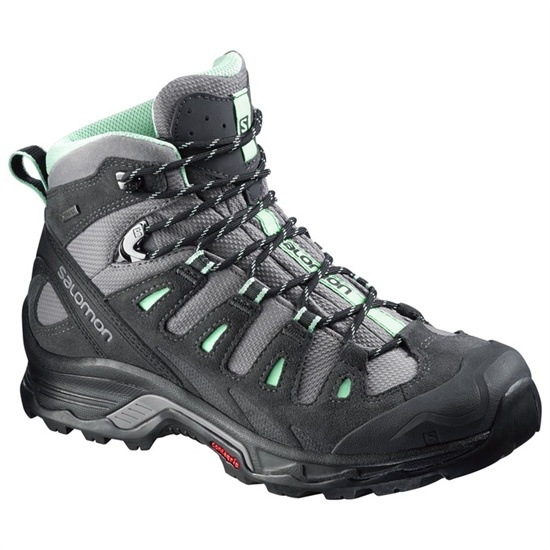 Salomon Quest Prime Gtx W Women's Hiking Boots Black / Silver | SXFT57193