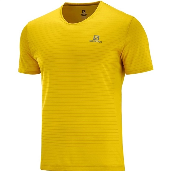 Salomon Sense M Men's T Shirts Yellow | XNDQ16534