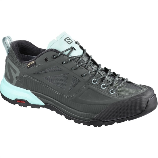 Salomon X Alp Spry Gtx W Men's Hiking Boots Light Blue / Black | QCGT82493