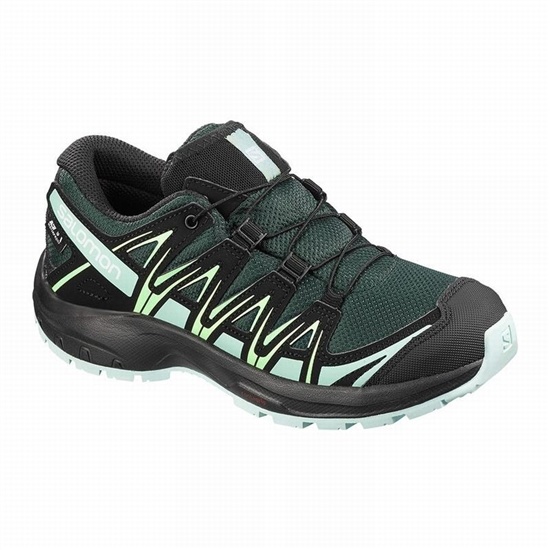 Salomon Xa Pro 3d Climasalomon Waterproof Kids' Trail Running Shoes Green / Black | NTXG01294