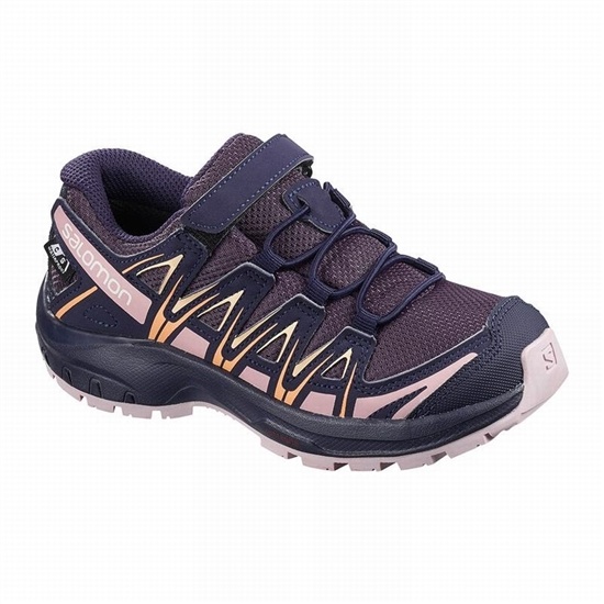 Salomon Xa Pro 3d Cswp K Kids' Trail Running Shoes Purple / Blue | FUYA01749