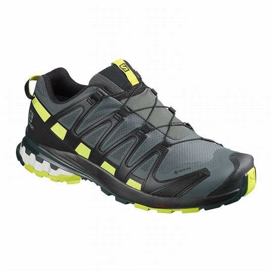 Salomon Xa Pro 3d V8 Gore-tex Men's Hiking Shoes Black / Light Green | IDWZ96573