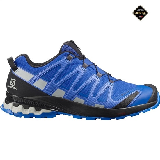 Salomon Xa Pro 3d V8 Gore-tex Men's Trail Running Shoes Navy | WZTO25043